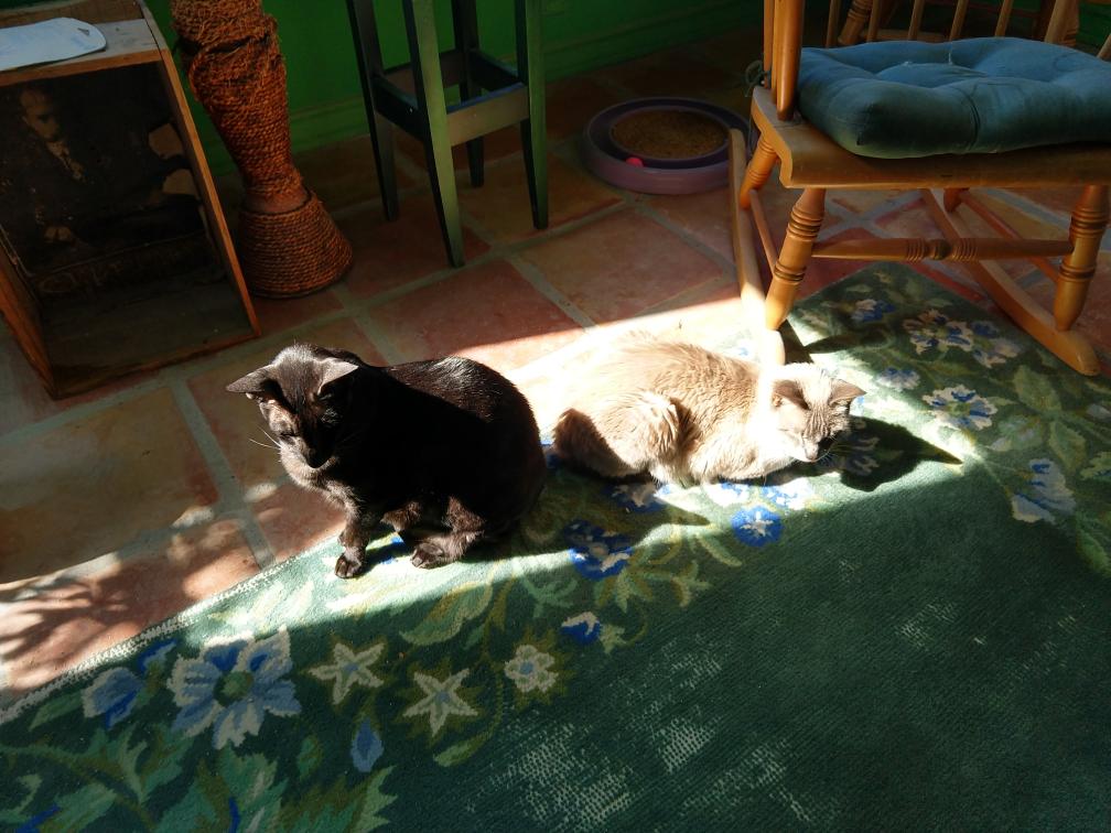 click for larger size