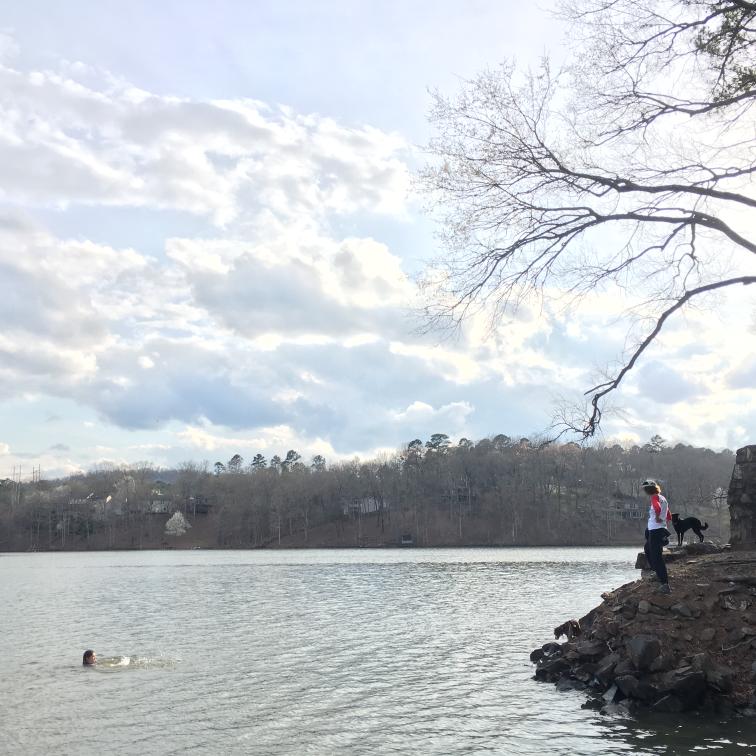 click for larger size