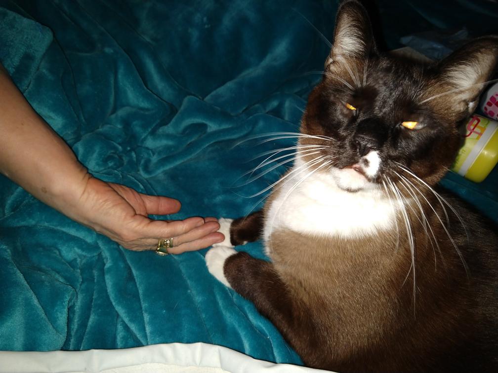 click for larger size