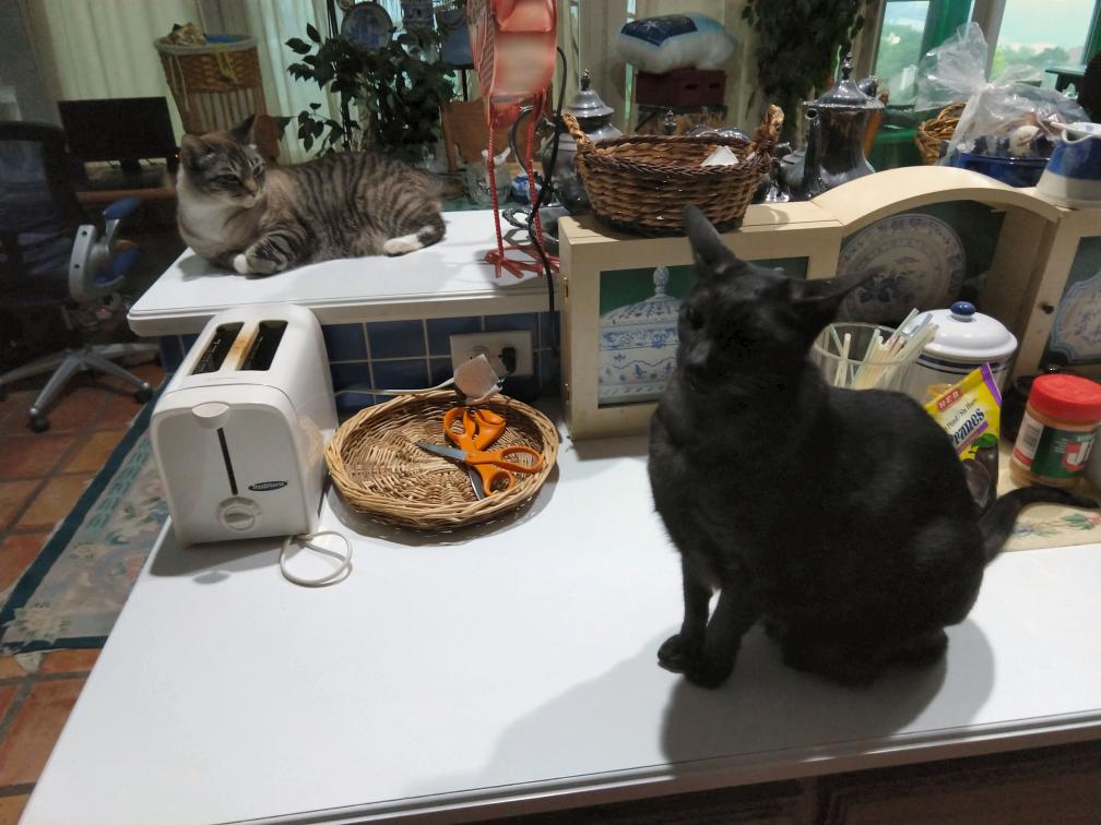 click for larger size