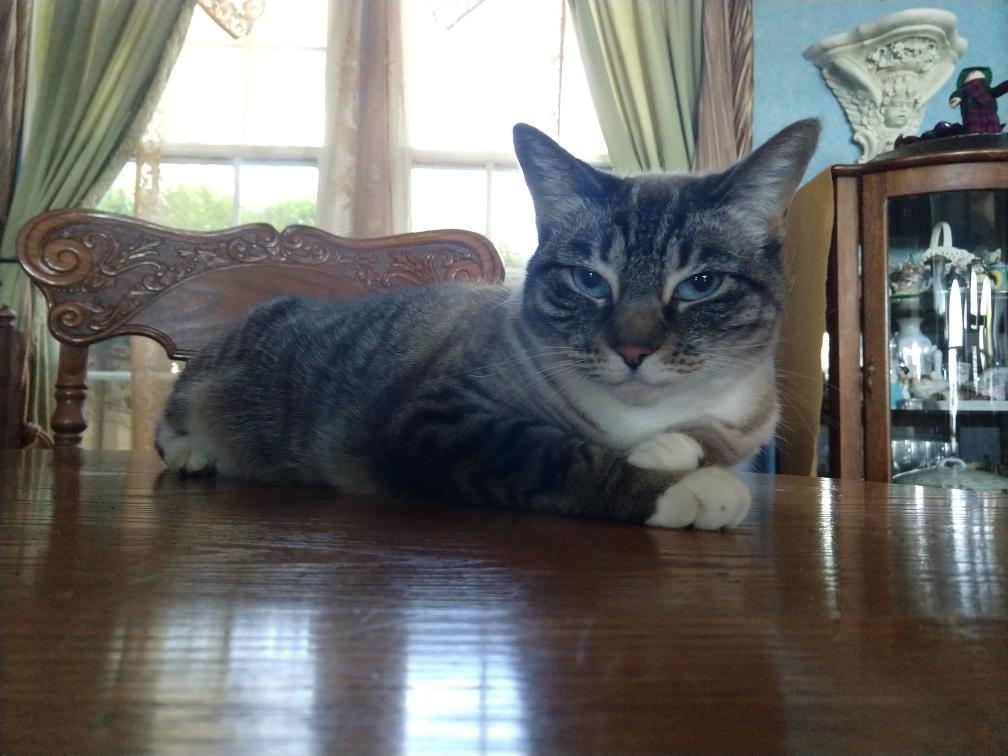 click for larger size