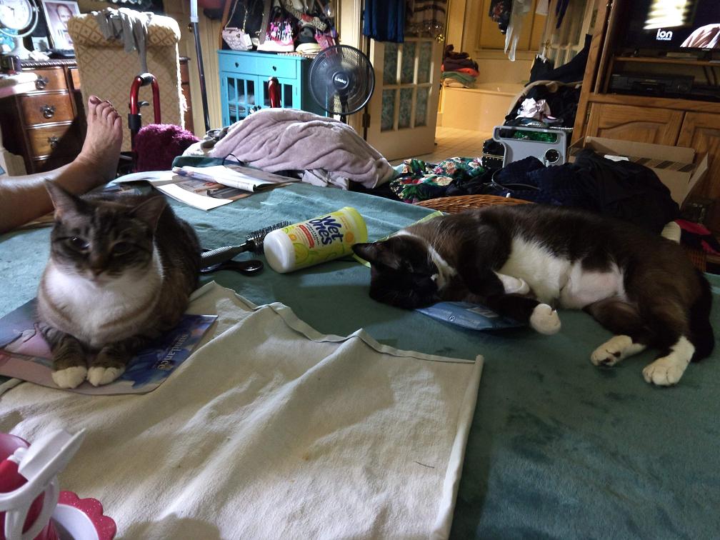 click for larger size