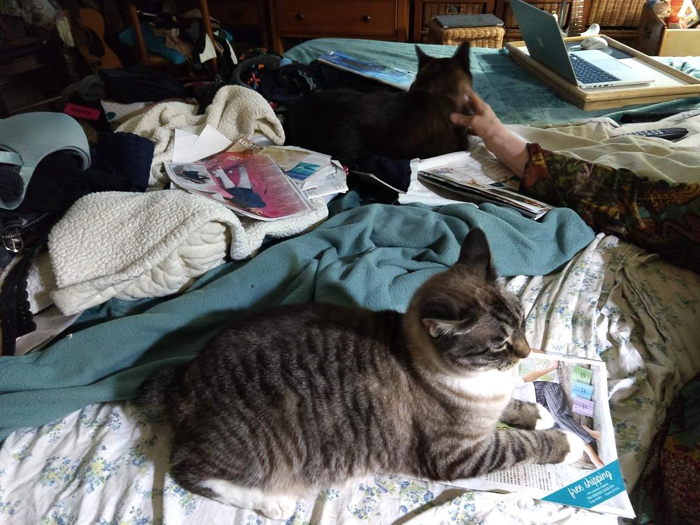 click for larger size