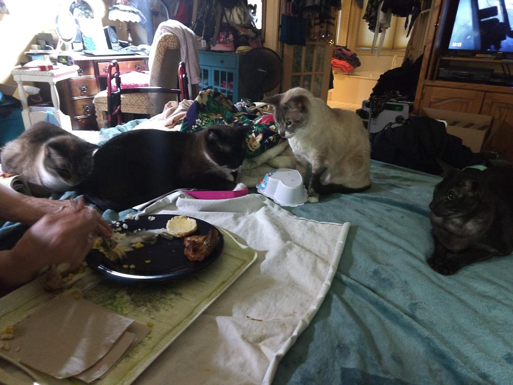 click for larger size