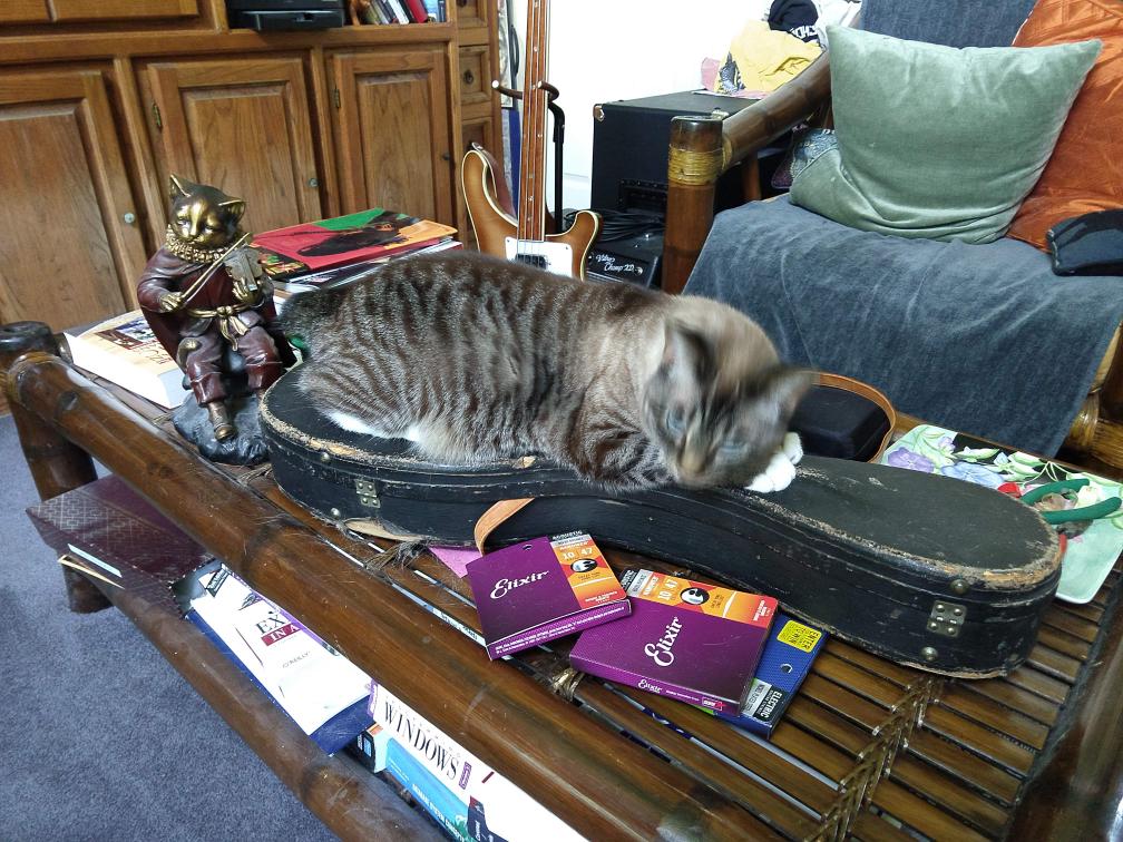 click for larger size