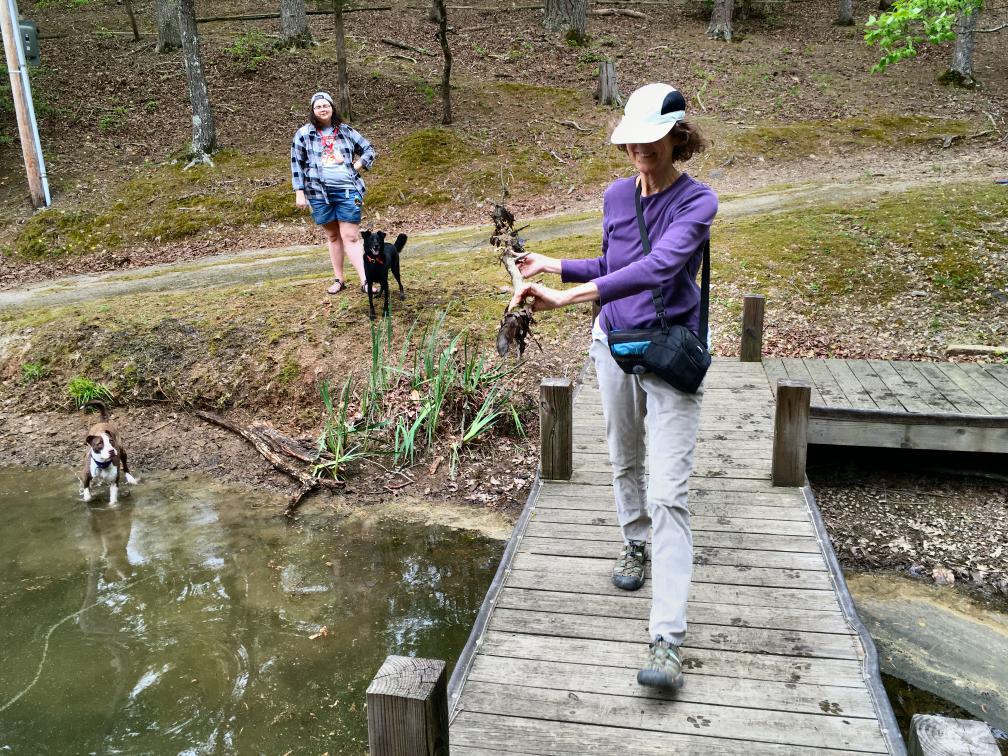 click for larger size