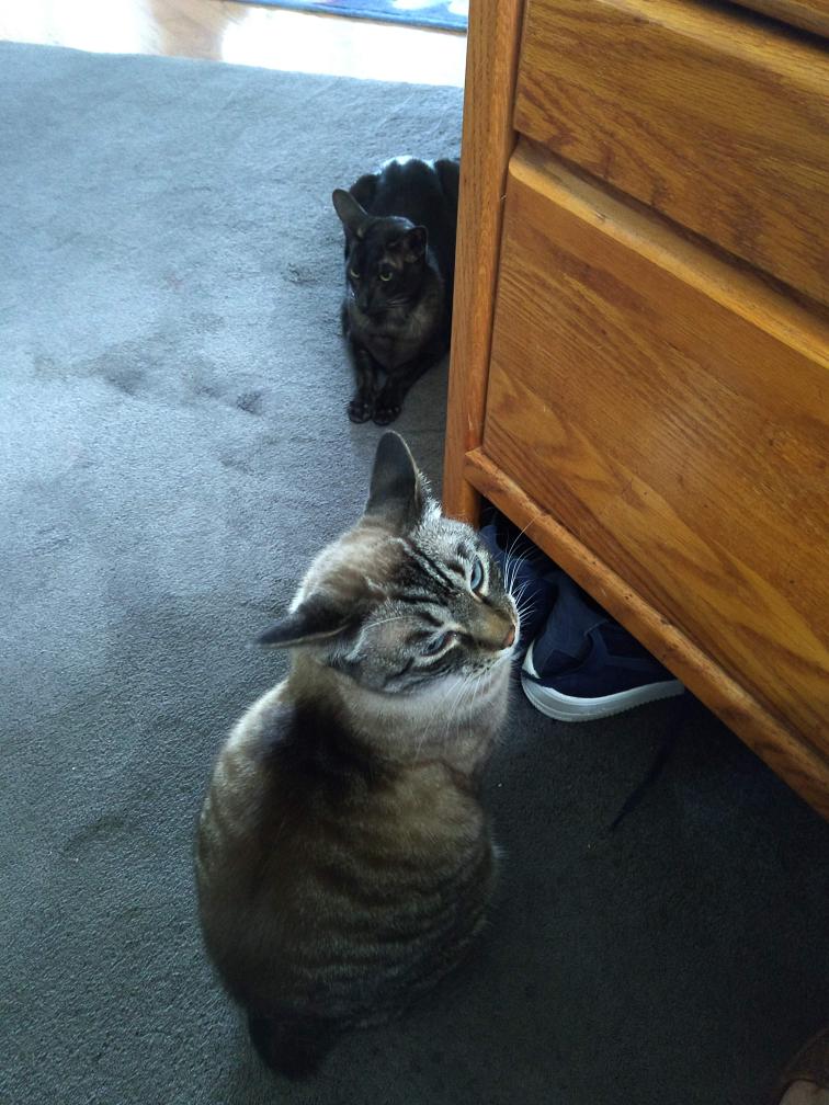 click for larger size