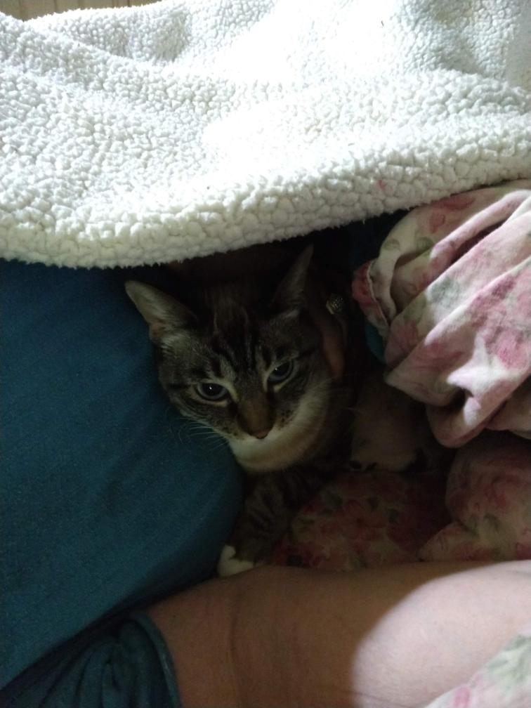 click for larger size