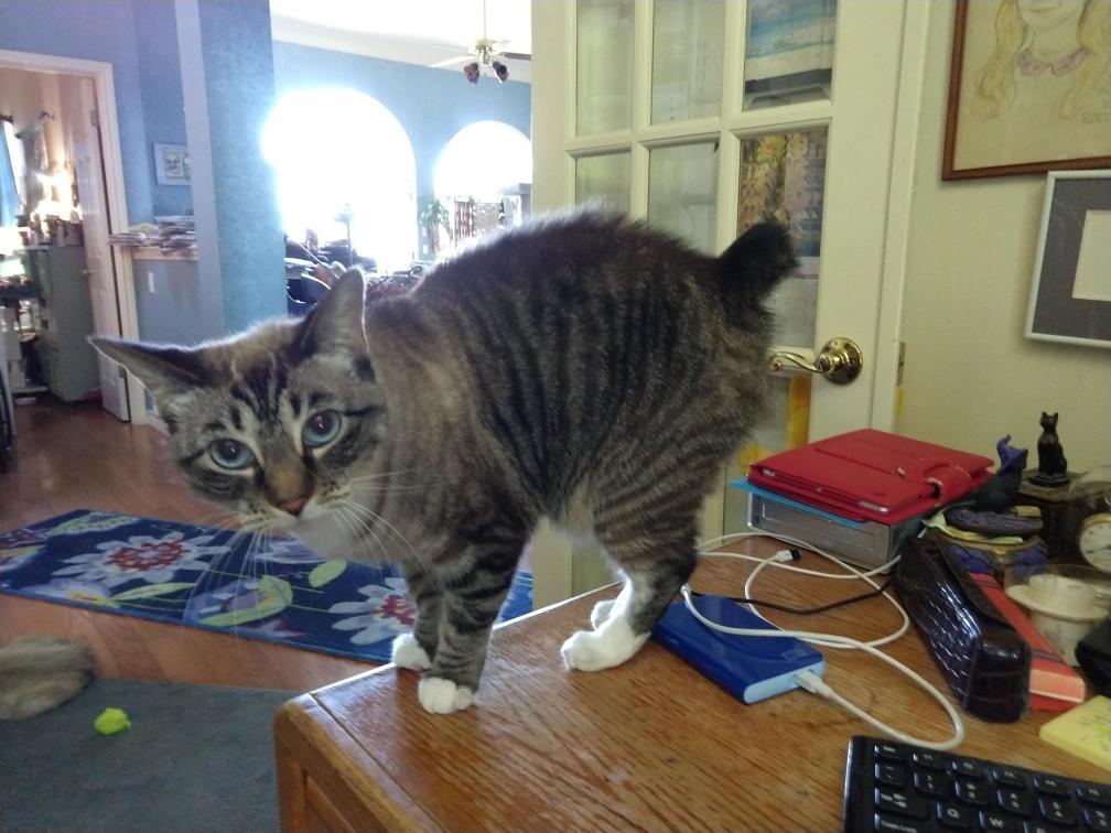 click for larger size