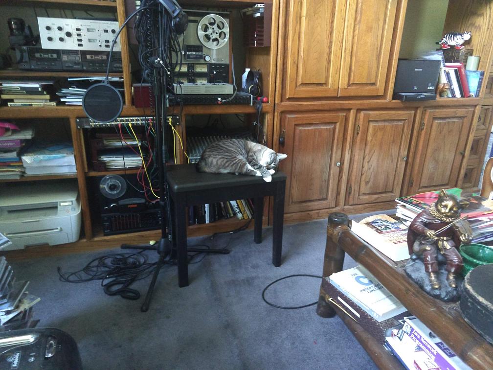 click for larger size