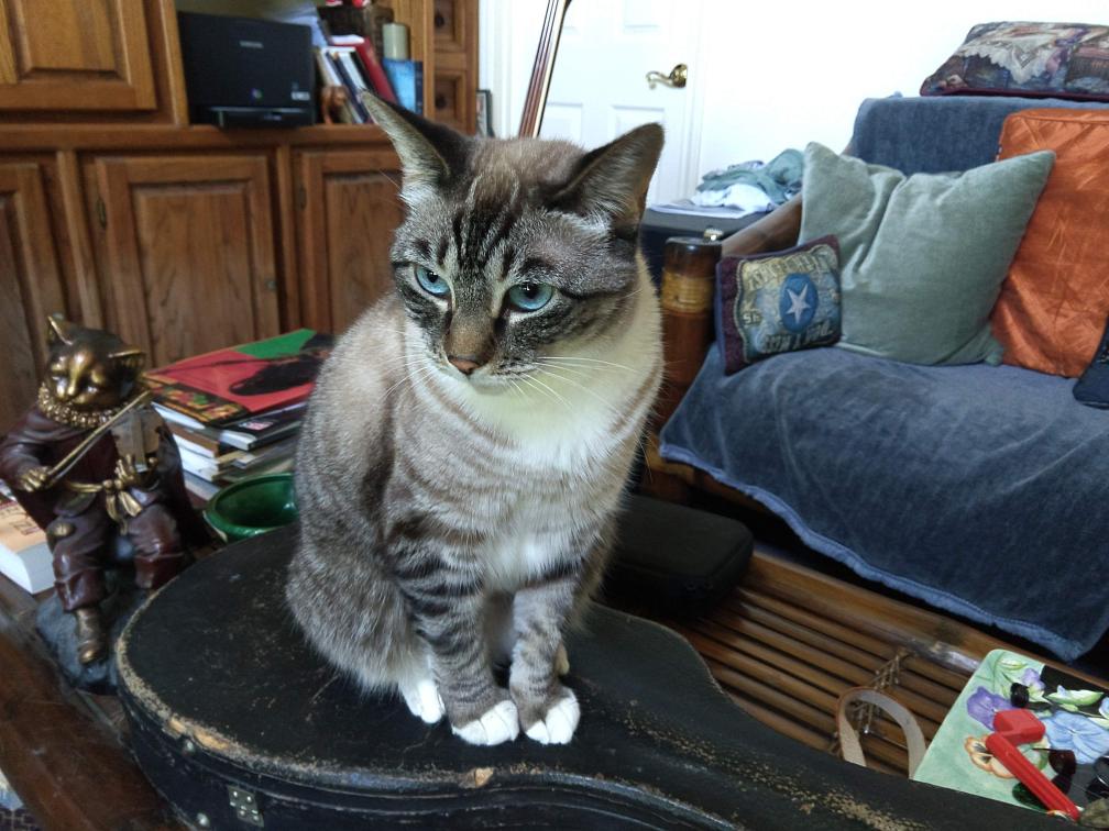 click for larger size