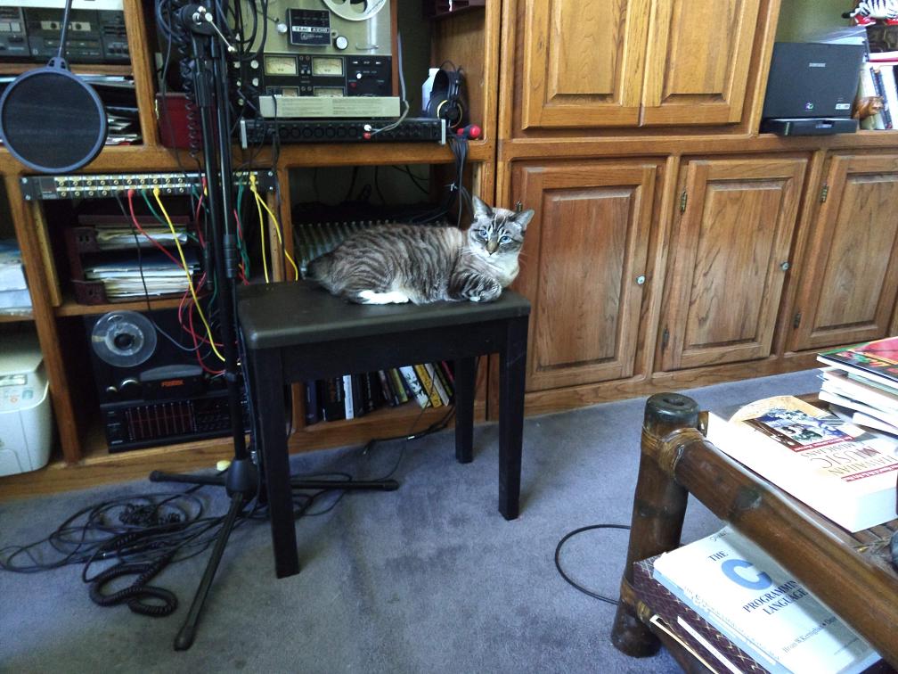 click for larger size