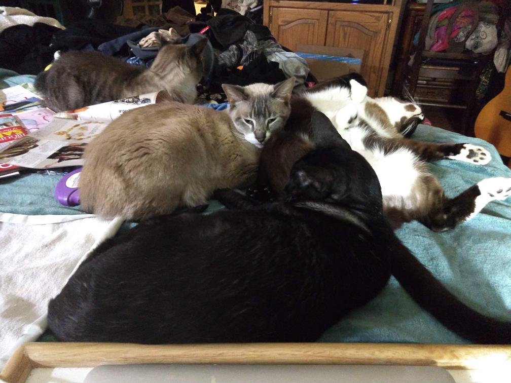 click for larger size