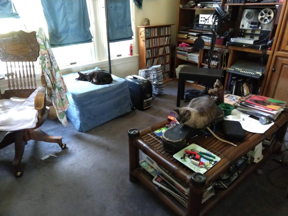 click for larger size