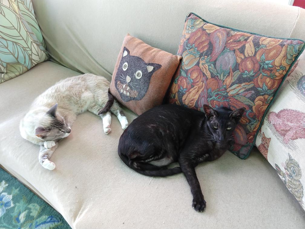 click for larger size