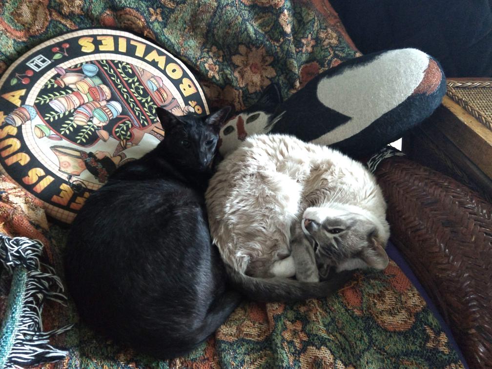 click for larger size