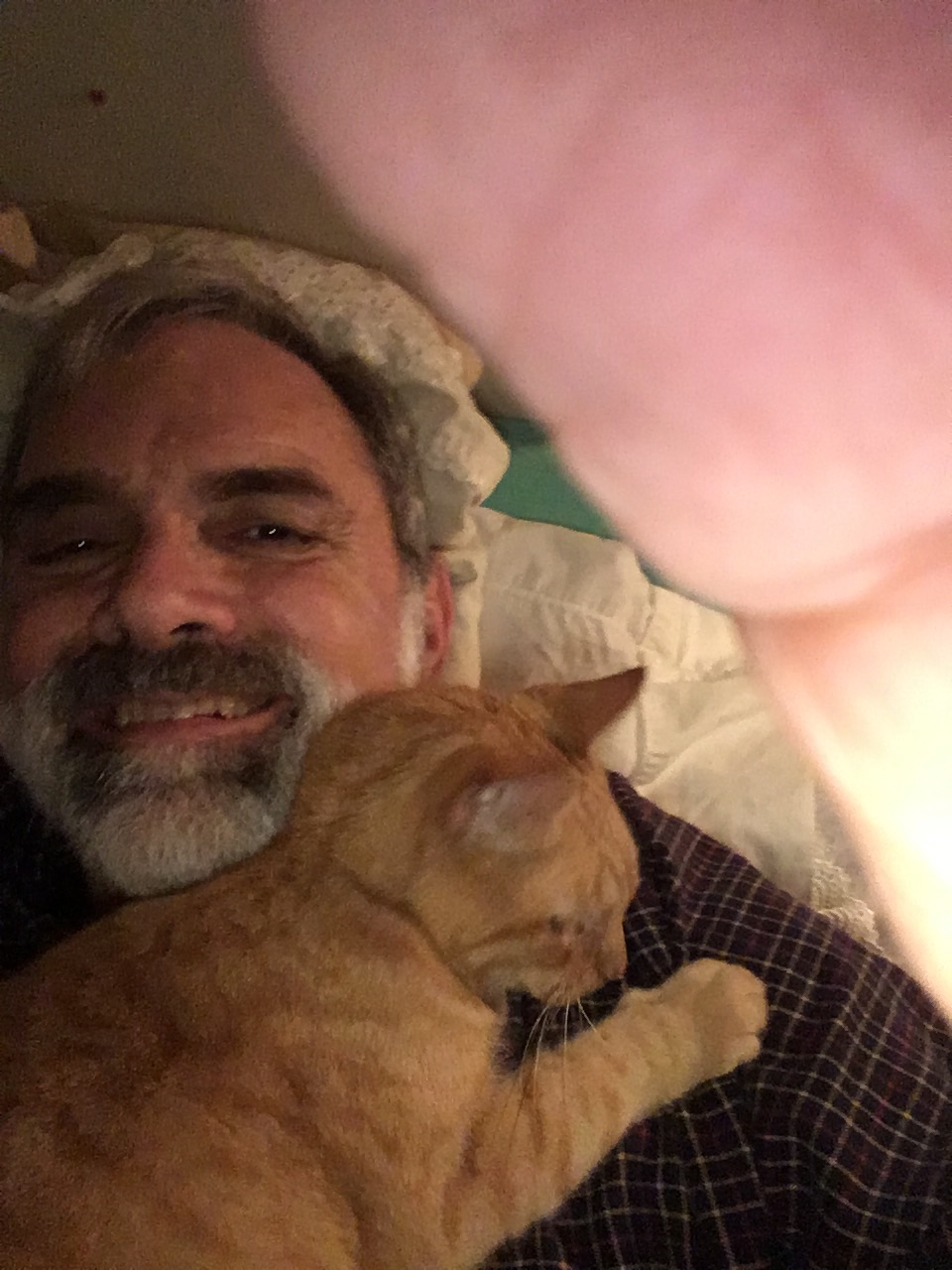 click for larger size