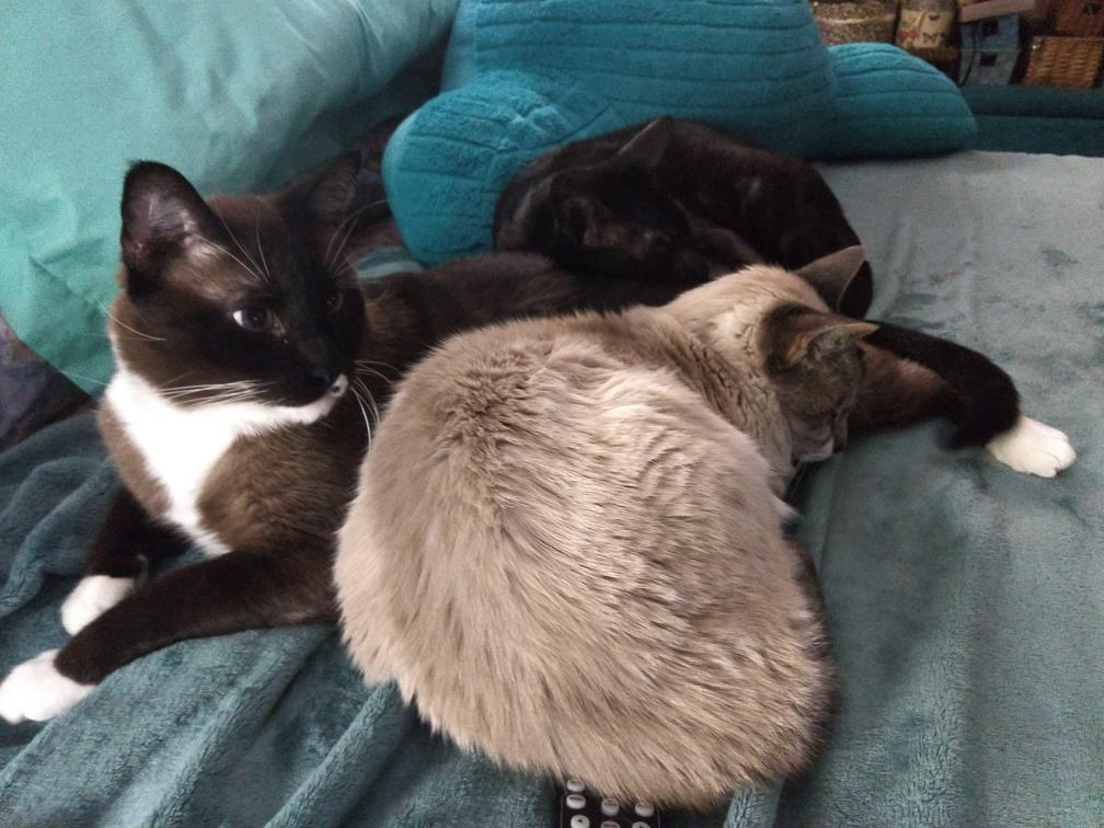 click for larger size