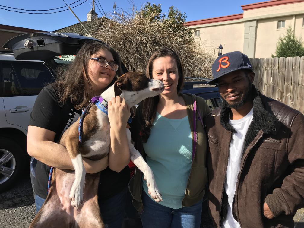 click for larger size