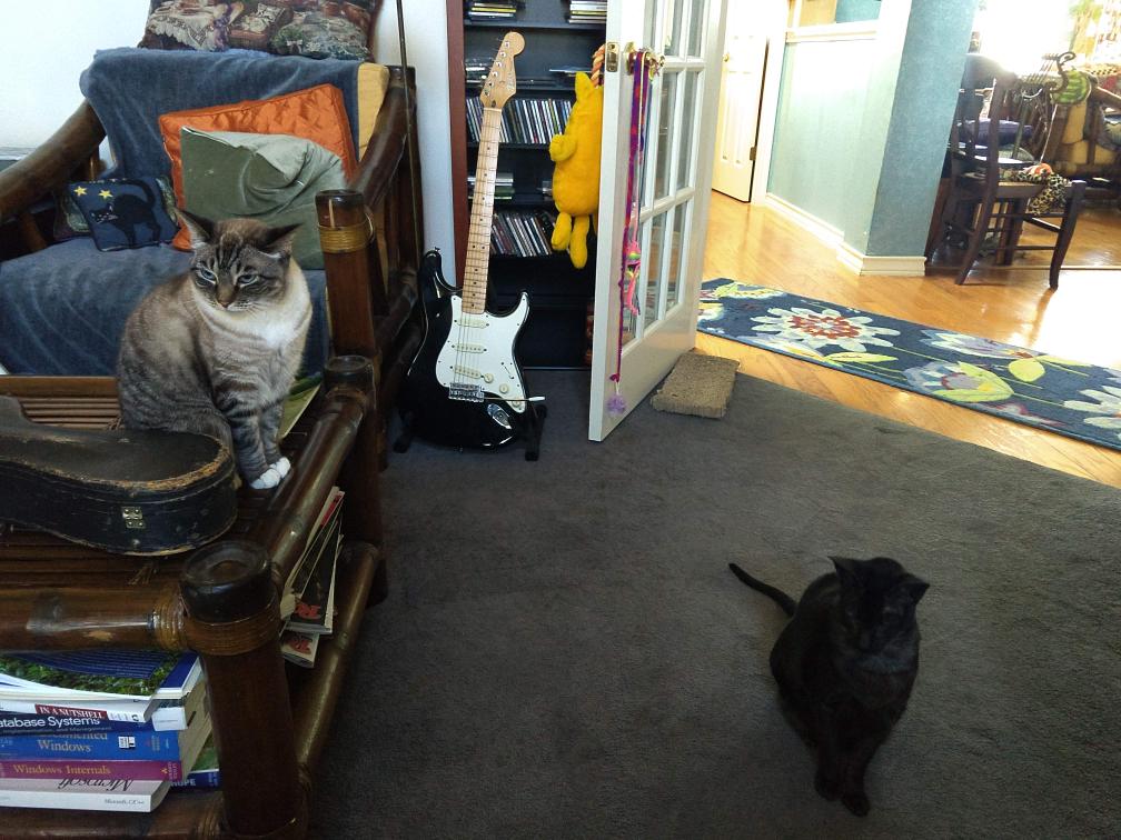 click for larger size