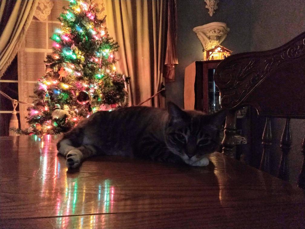 click for larger size