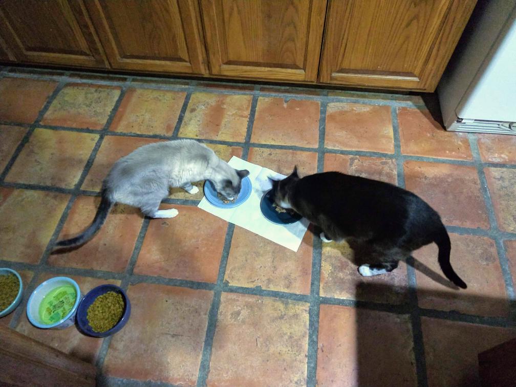 click for larger size