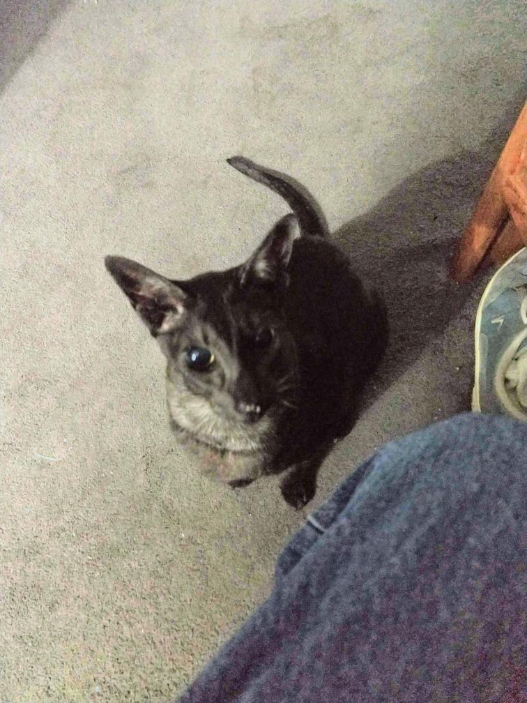 click for larger size