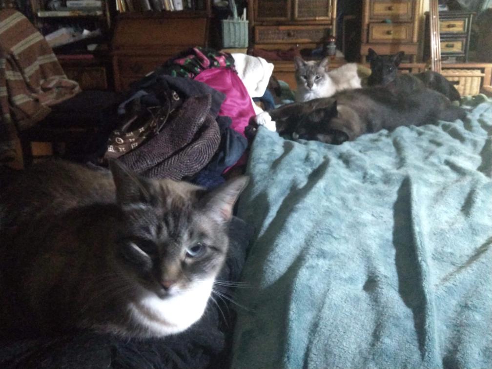 click for larger size