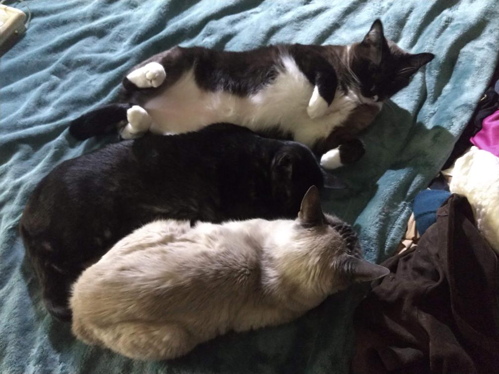 click for larger size