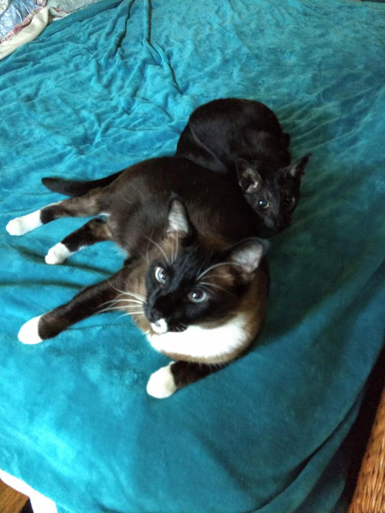 click for larger size