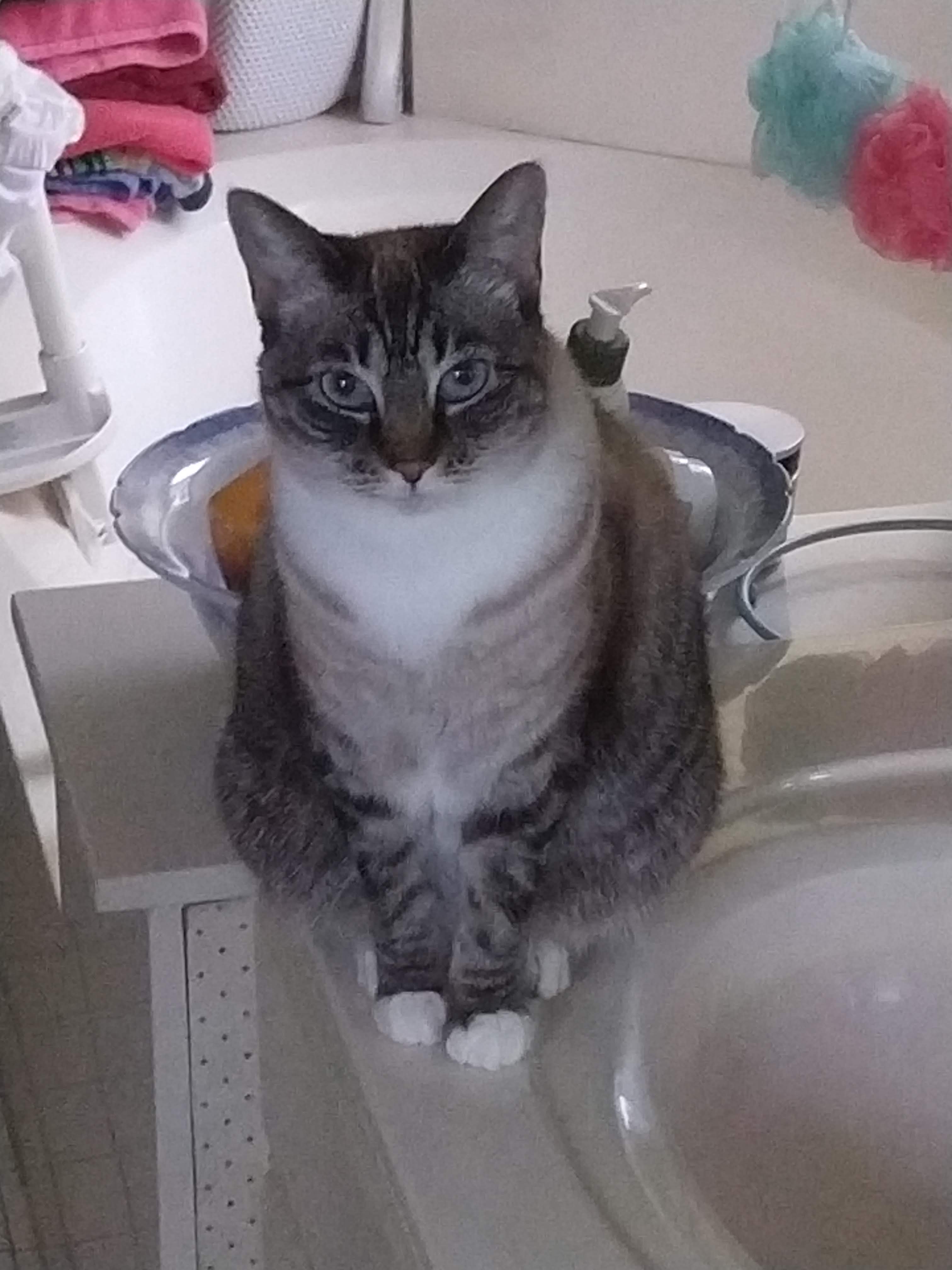 click for larger size