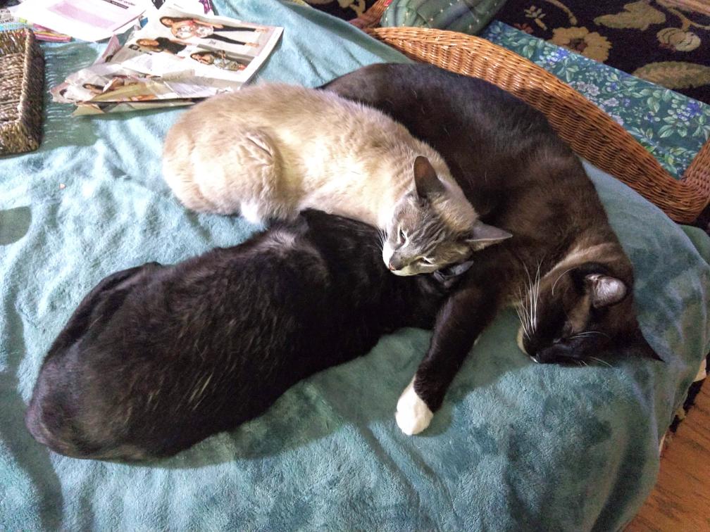 click for larger size