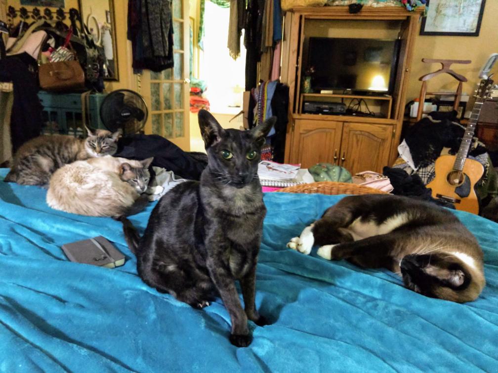 click for larger size