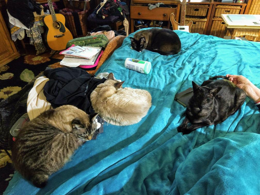 click for larger size