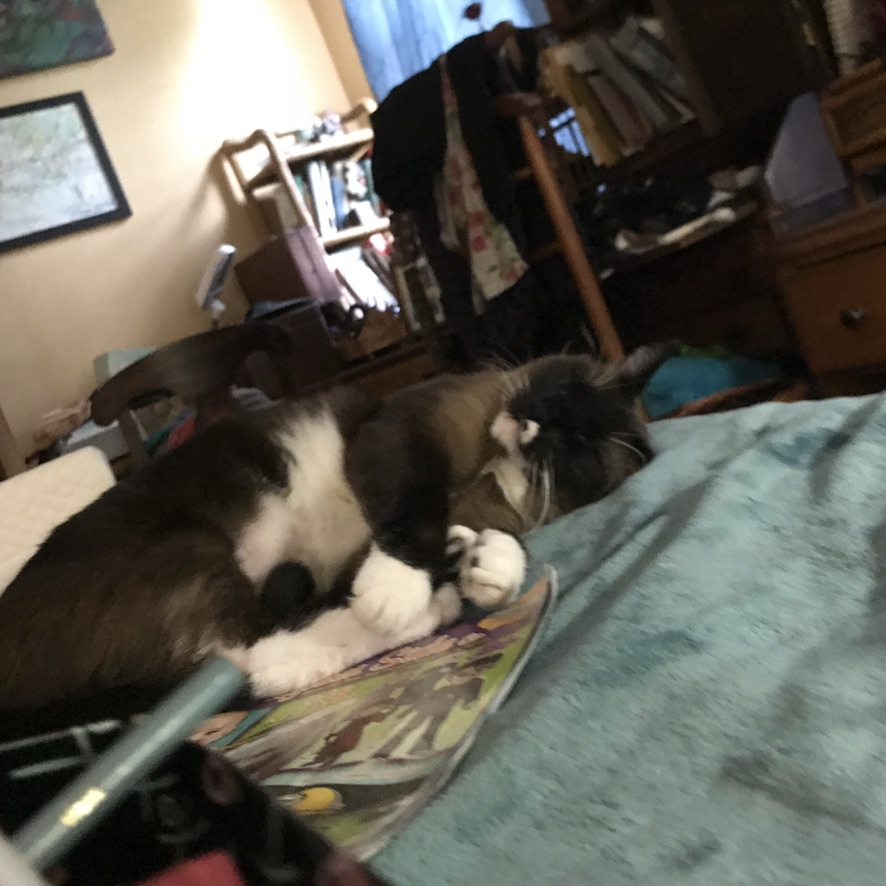 click for larger size