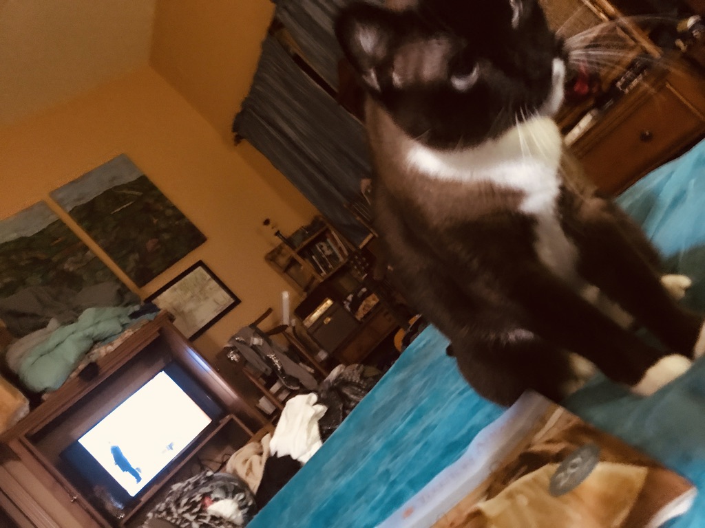 click for larger size