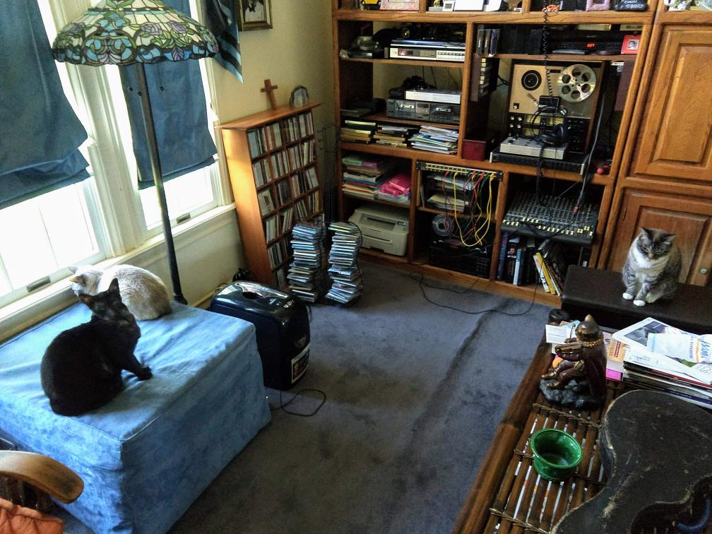 click for larger size