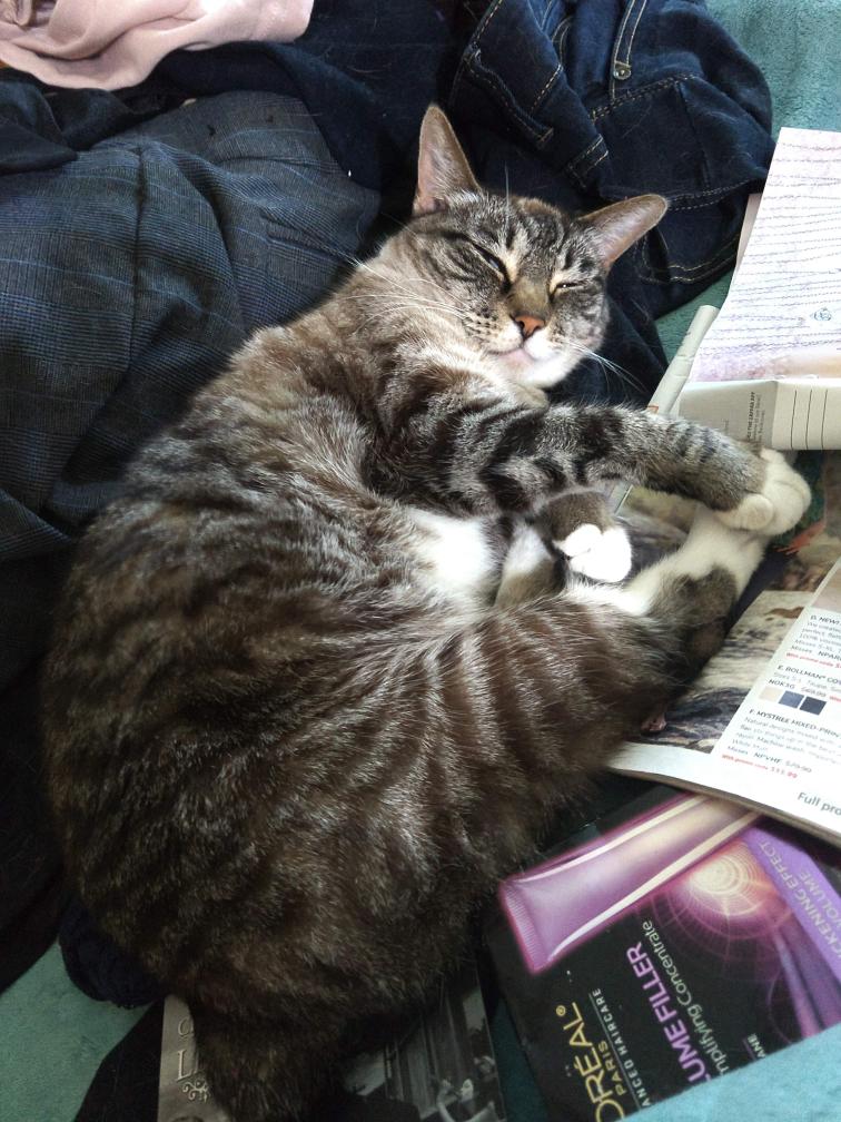 click for larger size