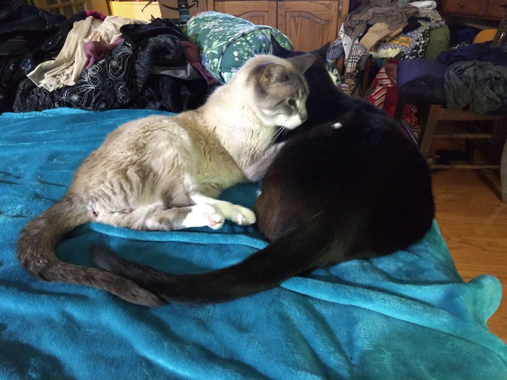 click for larger size