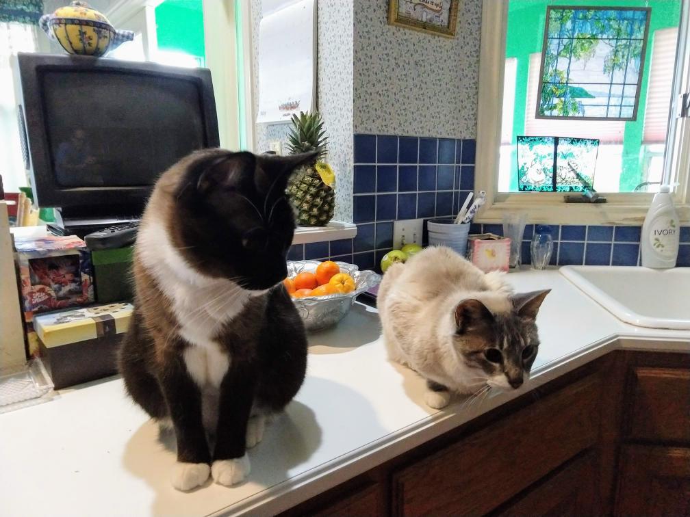 click for larger size