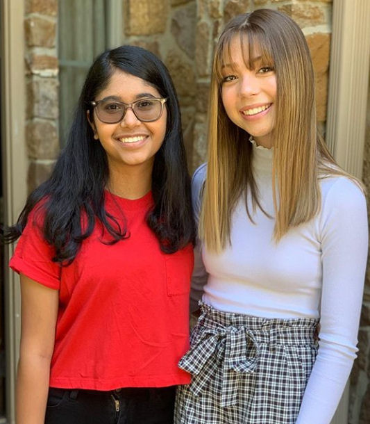 click for larger size