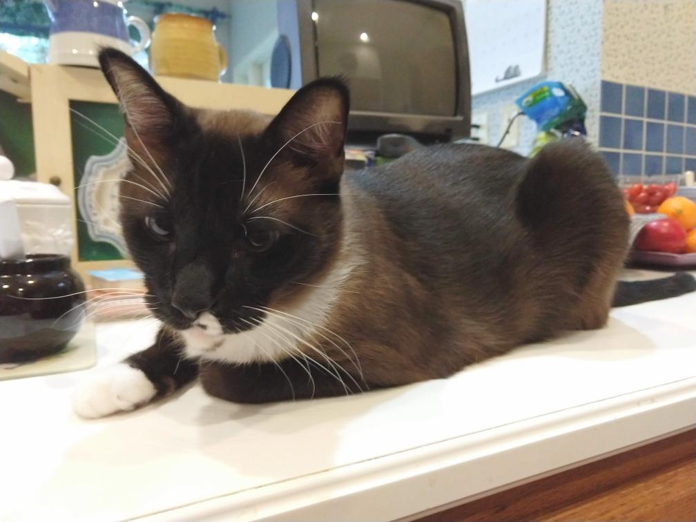 click for larger size