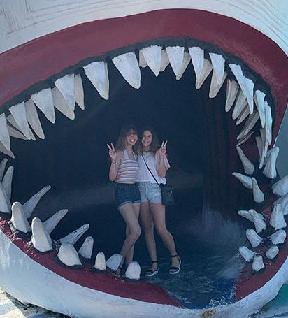 click for larger size