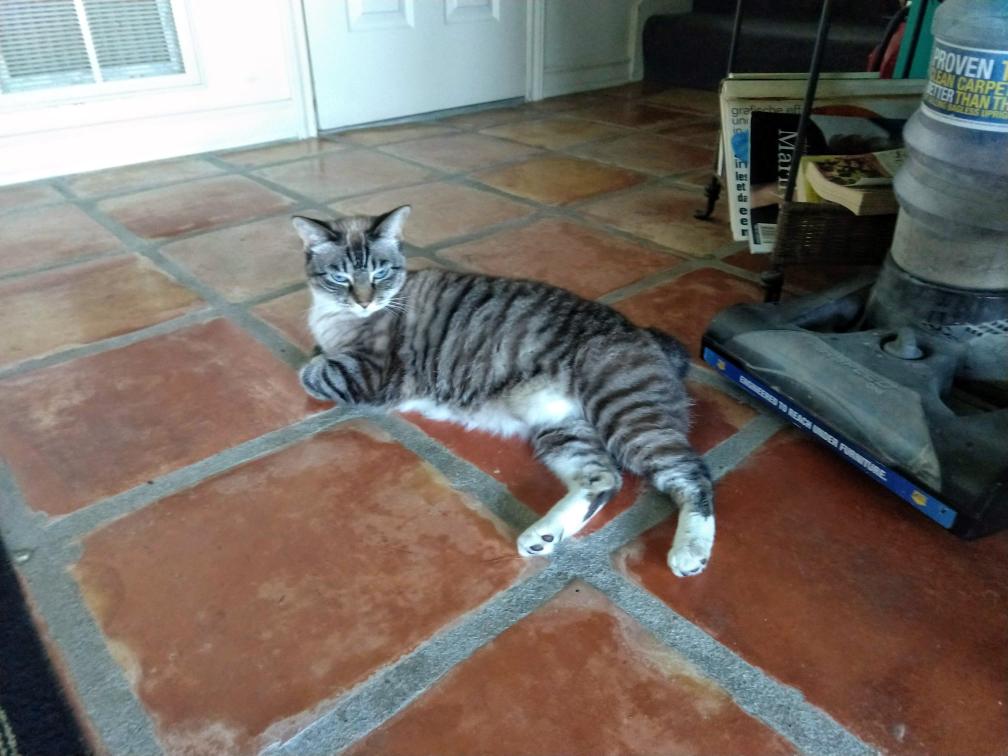 click for larger size