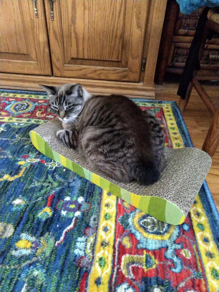 click for larger size