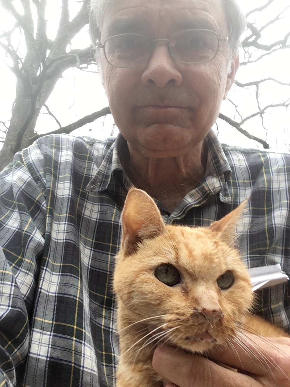 click for larger size