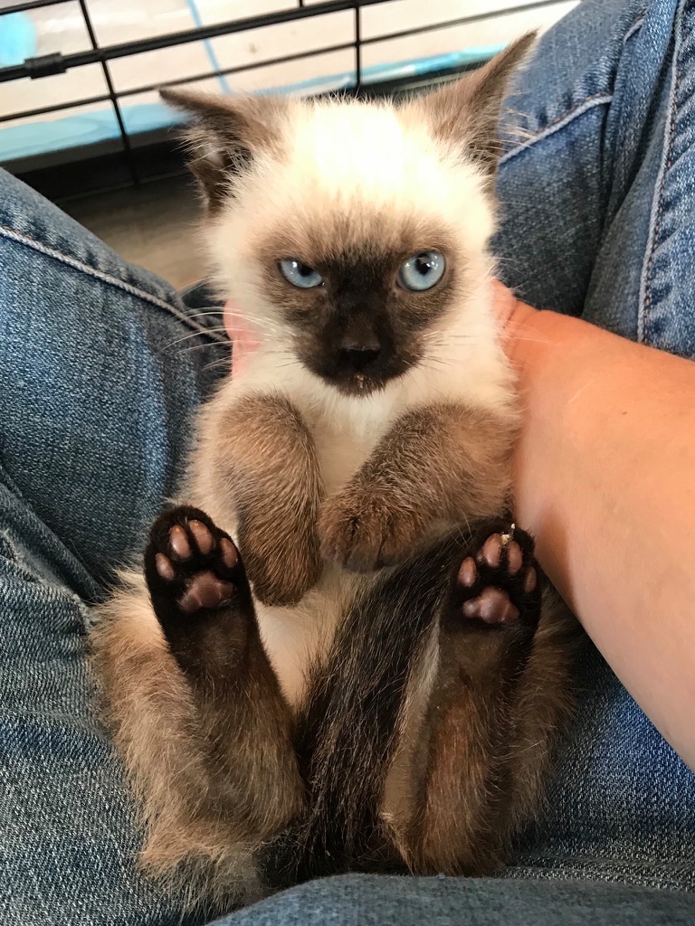 click for larger size