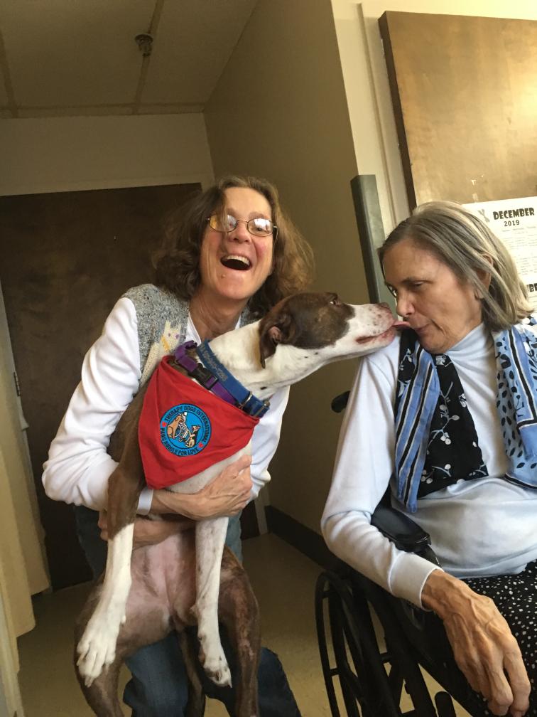 click for larger size