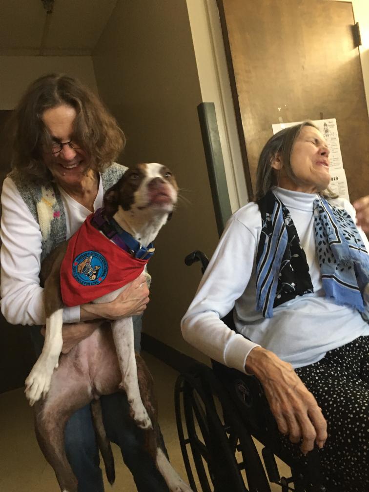 click for larger size