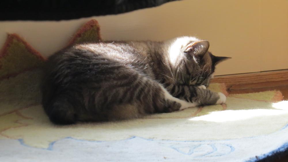 click for larger size